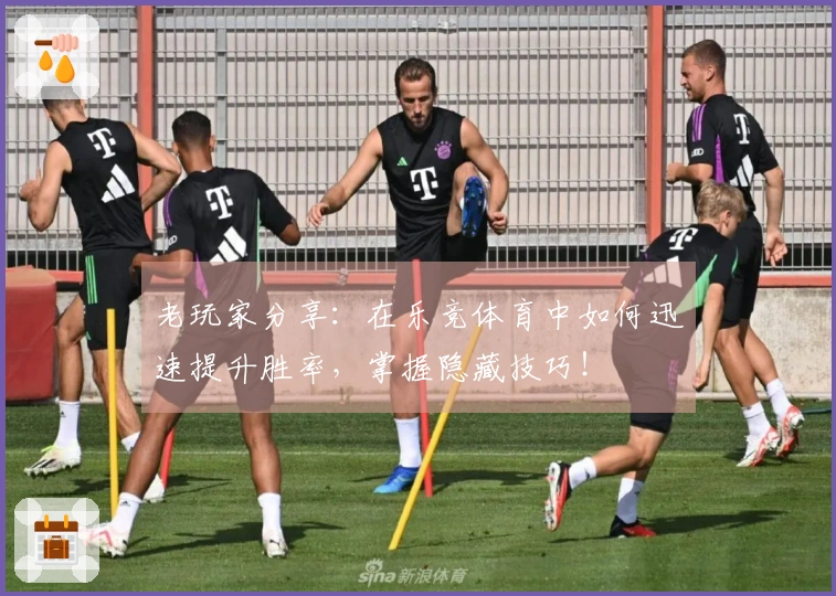 老玩家分享：在乐竞体育中如何迅速提升胜率，掌握隐藏技巧！