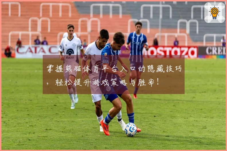 掌握熊猫体育平台入口的隐藏技巧，轻松提升游戏策略与胜率！