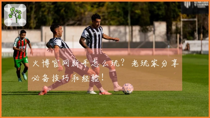 火博官网新手怎么玩？老玩家分享必备技巧和经验！